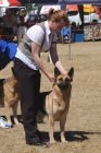 DOG_4159