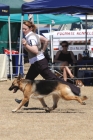 DOG_4162