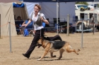 DOG_4168