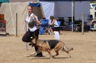 DOG_4169