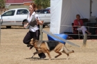 DOG_4178