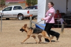 DOG_4183