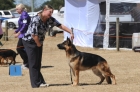 DOG_4217