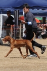 DOG_4325