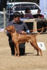 DOG_4344