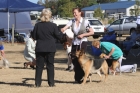 DOG_4837