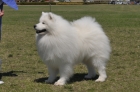 SAM_1755