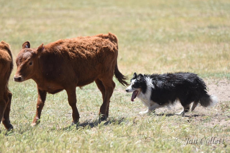 DSC_3191.JPG
