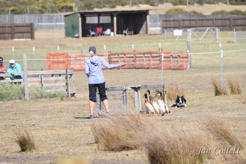 DSC_4042.JPG