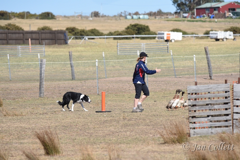 DSC_4061.JPG