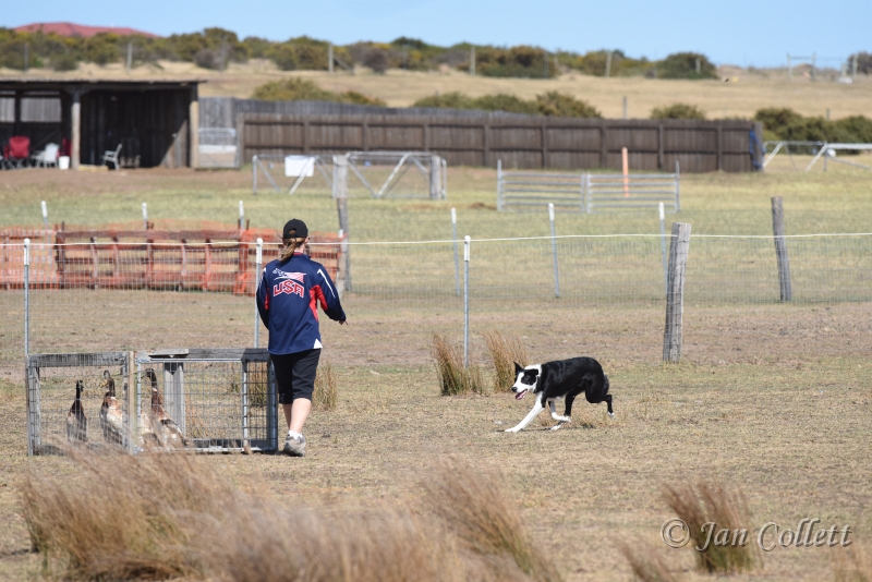 DSC_4085.JPG