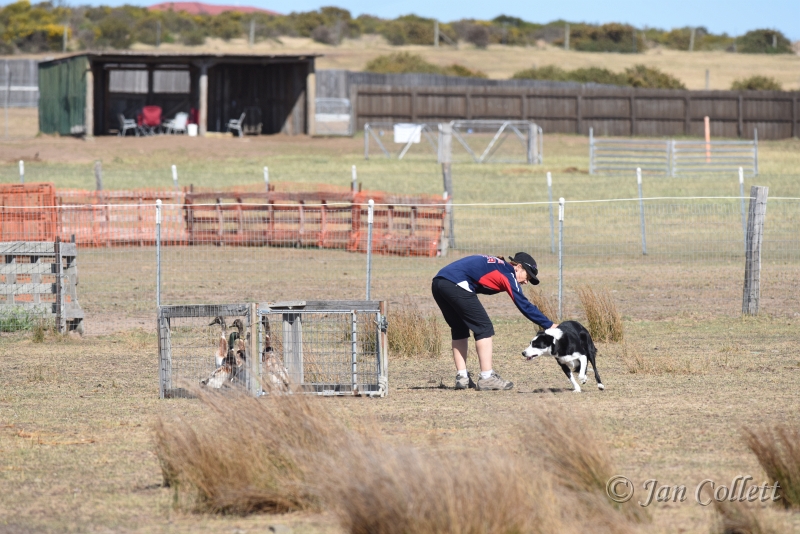 DSC_4087.JPG