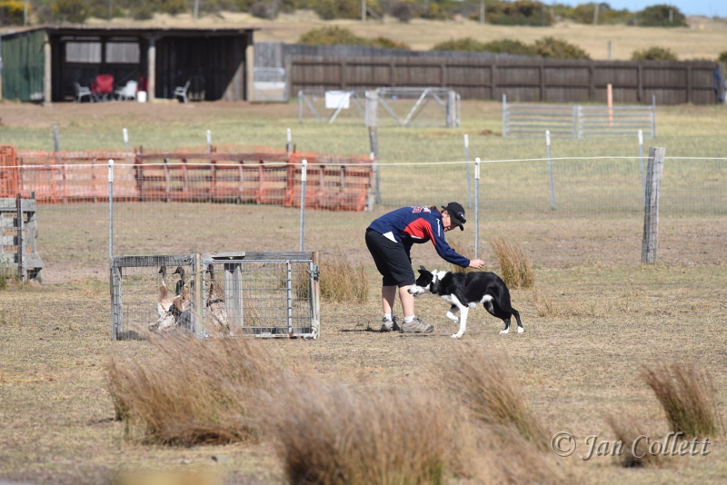 DSC_4088.JPG