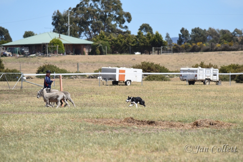 DSC_4108.JPG