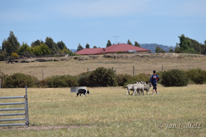 DSC_4125.JPG