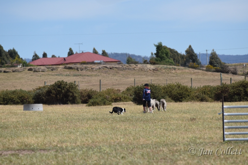 DSC_4126.JPG