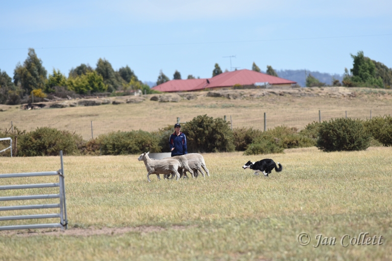 DSC_4135.JPG