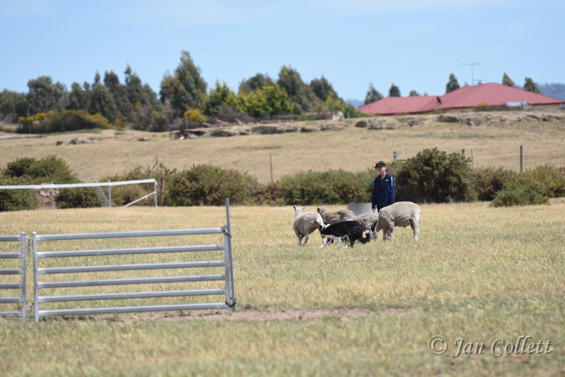 DSC_4136.JPG
