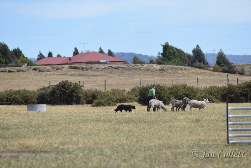 DSC_4171.JPG