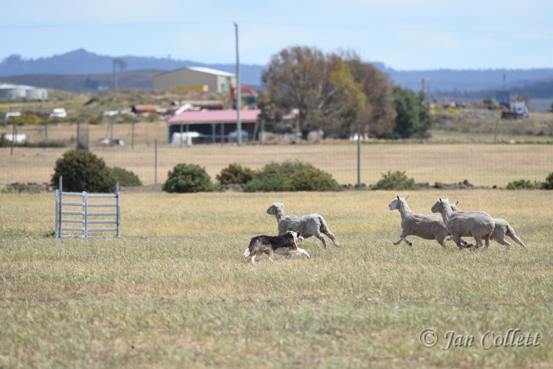 DSC_4174.JPG