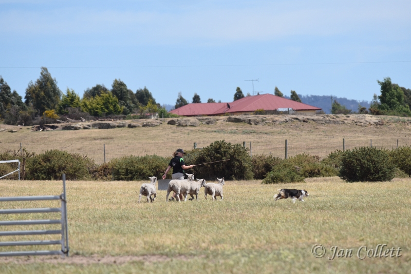 DSC_4185.JPG