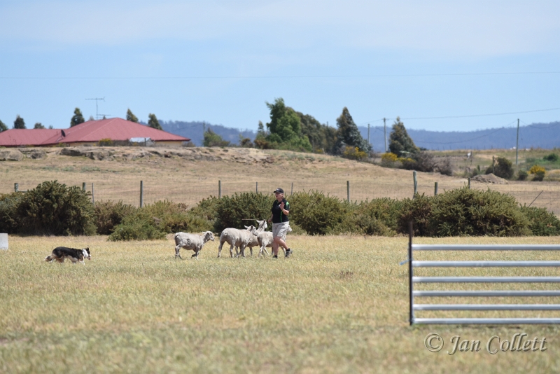 DSC_4189.JPG