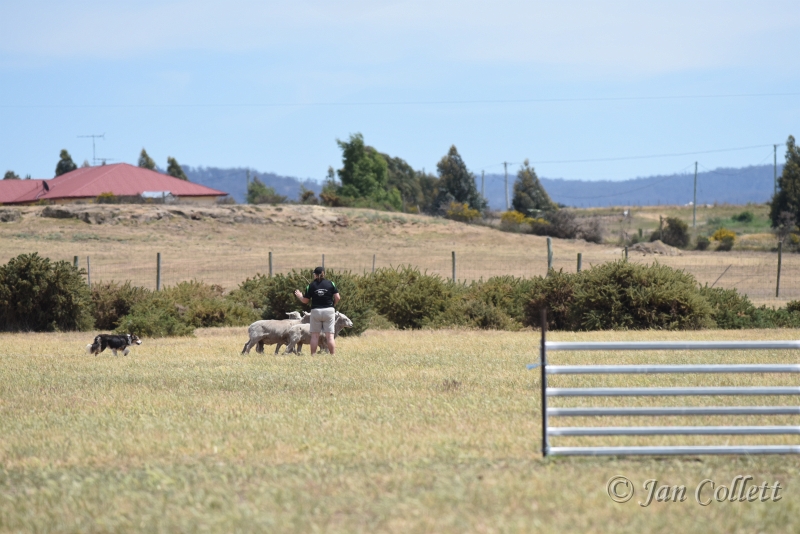 DSC_4191.JPG