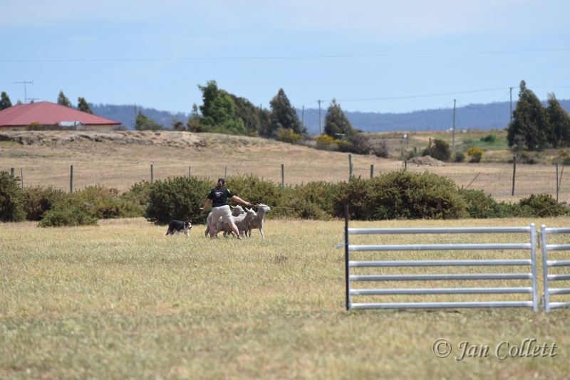 DSC_4192.JPG