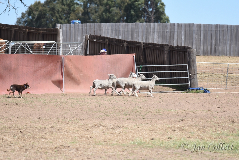 DSC_4204.JPG