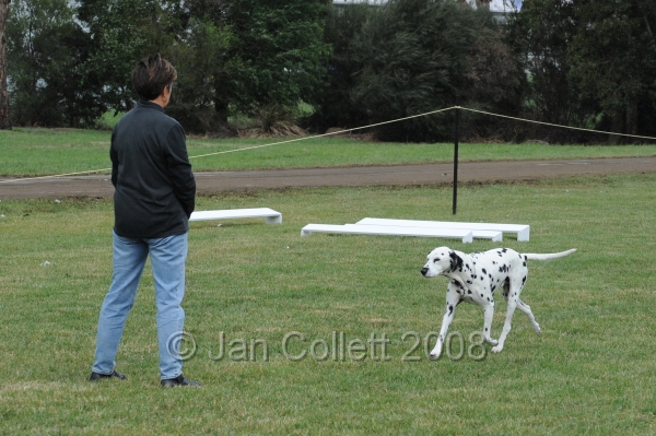 DOG_5523.jpg