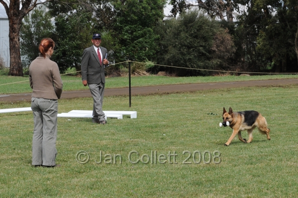 DOG_5568.jpg