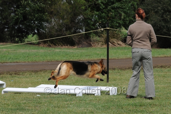 DOG_5575.jpg