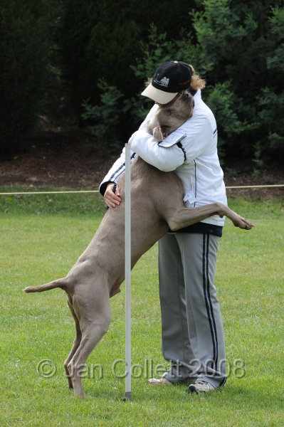 DOG_5595.jpg