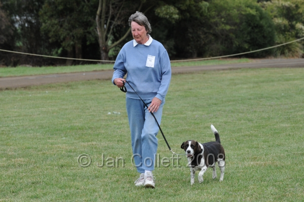 DOG_5686.jpg