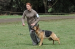DOG_5552