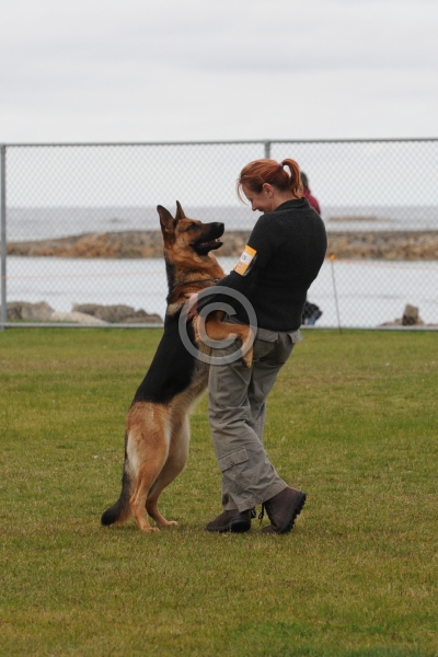 UKC_6111.JPG