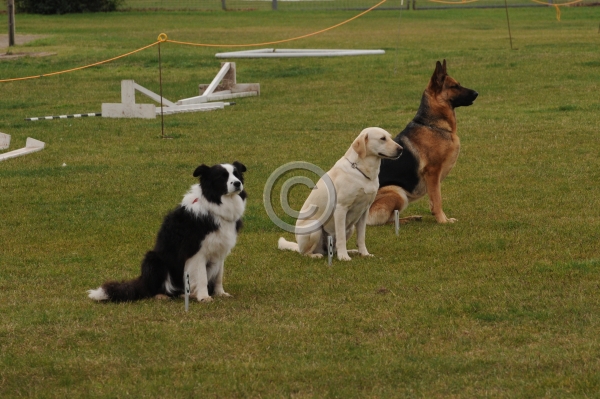 UKC_6128.JPG