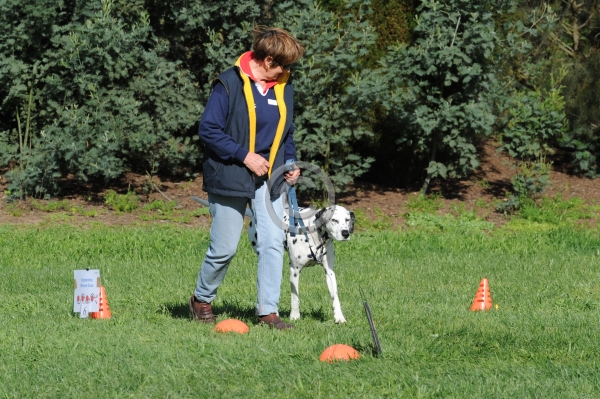 TAS_8096.JPG