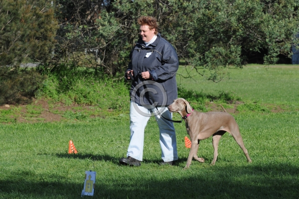 TAS_8330.JPG
