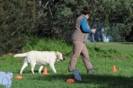 TAS_8502