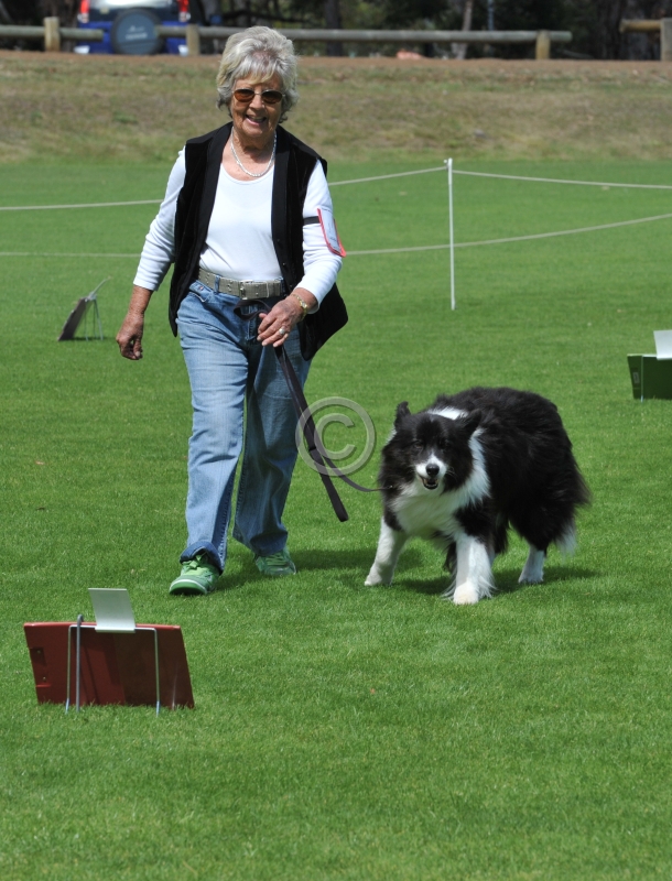DOG_3279.JPG