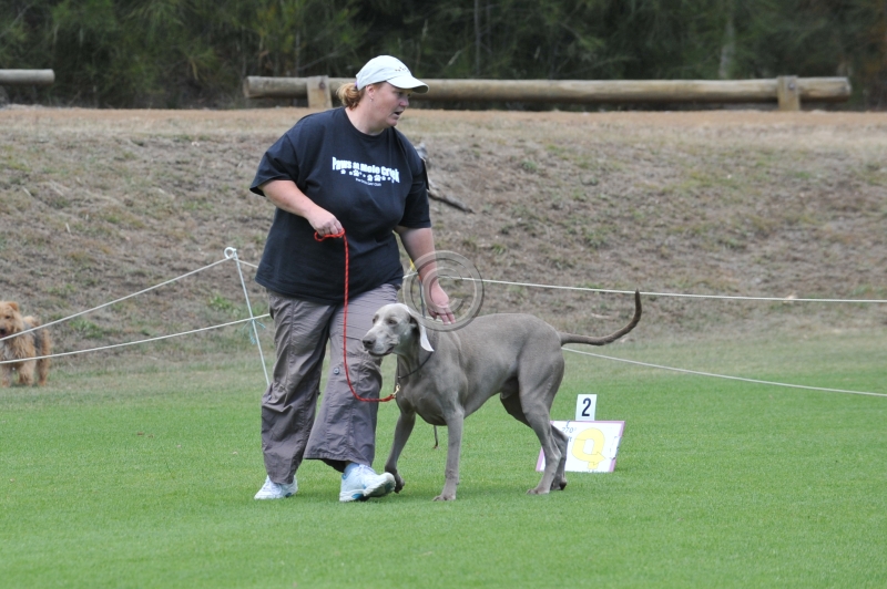 DOG_3440.JPG