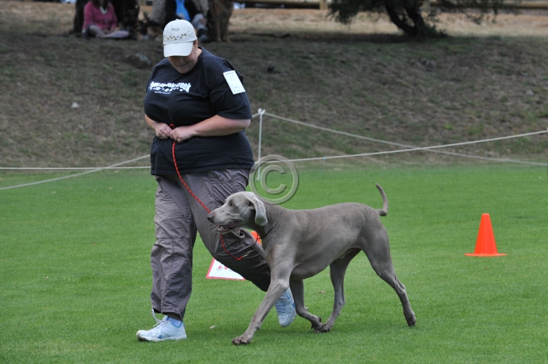 DOG_3476.JPG