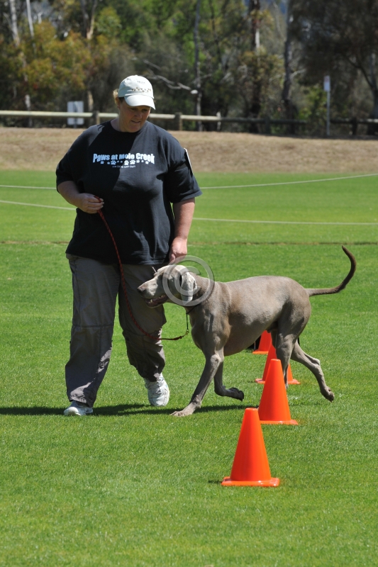 DOG_4348.JPG