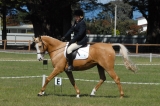 TAS_3630