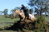 NHC_0419