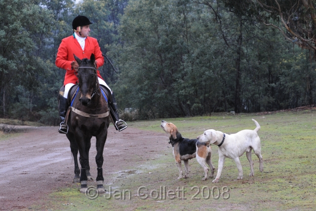 NHC_0062.jpg - Ian Klye, Master of the Hunt, gathers the hounds