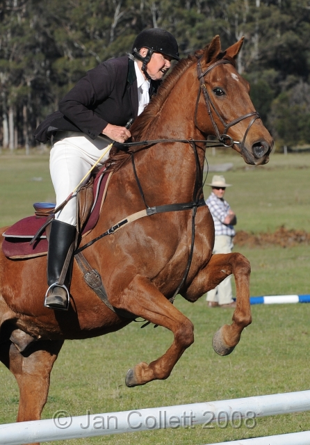 TAS_2191c.jpg