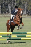 TAS_2008