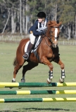 TAS_2009